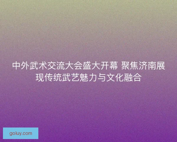 中外武术交流大会盛大开幕 聚焦济南展现传统武艺魅力与文化融合
