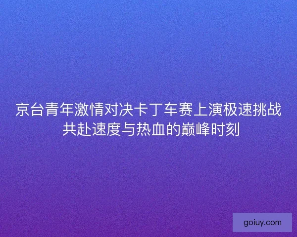 京台青年激情对决卡丁车赛上演极速挑战 共赴速度与热血的巅峰时刻 京台青年激情对决卡丁车赛上演极速挑战 共赴速度与热血的巅峰时刻